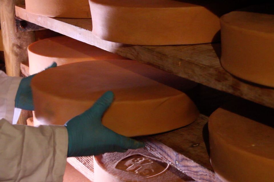 FontinaMI 2026 a Milano 12 ristoranti celebrano la Fontina DOP dal 16 al 29 novembre