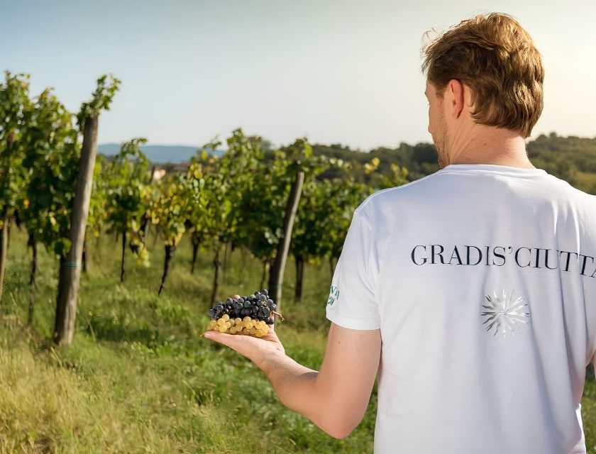 Gradisciutta Robert Princic e i vini senza confini, tra Collio e Brda Gradis'ciutta