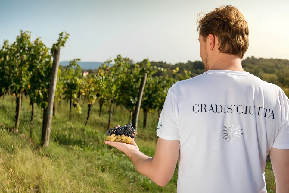 Gradisciutta Robert Princic e i vini senza confini, tra Collio e Brda Gradis'ciutta