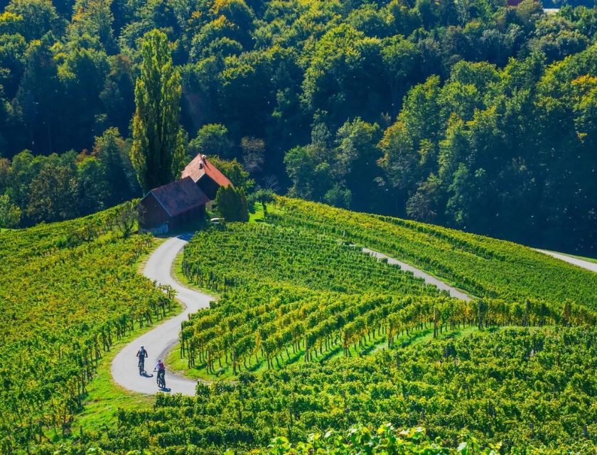 Maribor Best Wine Capital of Europe 2026 davanti a Bordeaux e Porto
