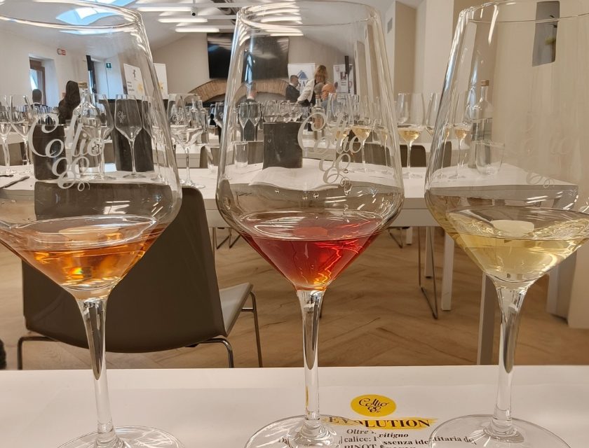 Migliori Pinot Grigio di Collio Evolution 2026 tutti i punteggi scores winemag davide bortone