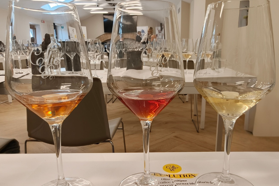 Migliori Pinot Grigio di Collio Evolution 2026 tutti i punteggi scores winemag davide bortone