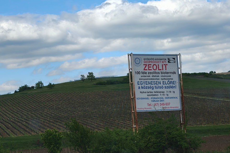 Tokaj e vino ungherese, Szepsy «Vini rossi perché no». Le sfide del futuro del vino dell ungheria (2)