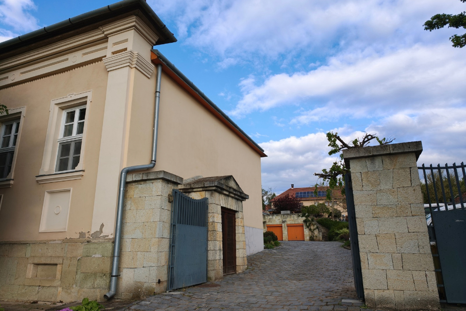 Tokaj e vino ungherese, Szepsy «Vini rossi perché no». Le sfide del futuro del vino dell ungheria (3)