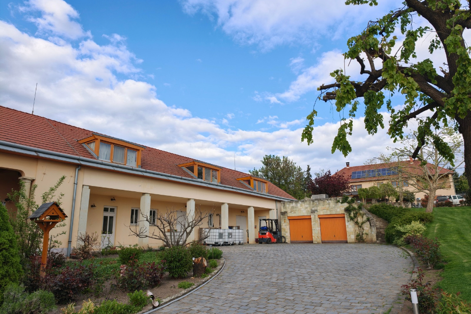 Tokaj e vino ungherese, Szepsy «Vini rossi perché no». Le sfide del futuro del vino dell ungheria (4)