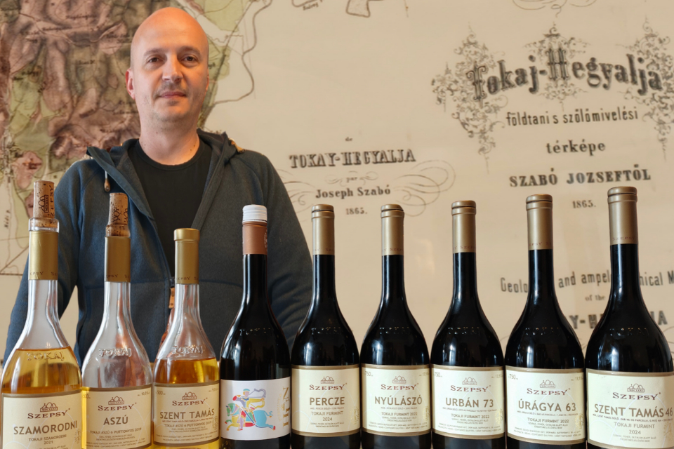 Tokaj e vino ungherese, Szepsy «Vini rossi perché no». Le sfide del futuro intervista esclusiva davide bortone winemag