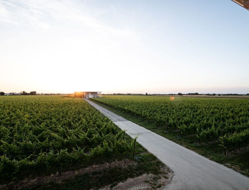 VentiVenti, la rivoluzione gentile del Metodo Classico nel cuore del Lambrusco