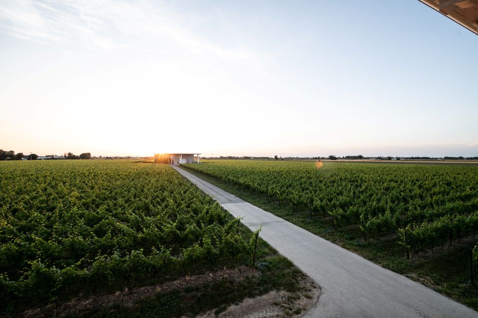VentiVenti, la rivoluzione gentile del Metodo Classico nel cuore del Lambrusco