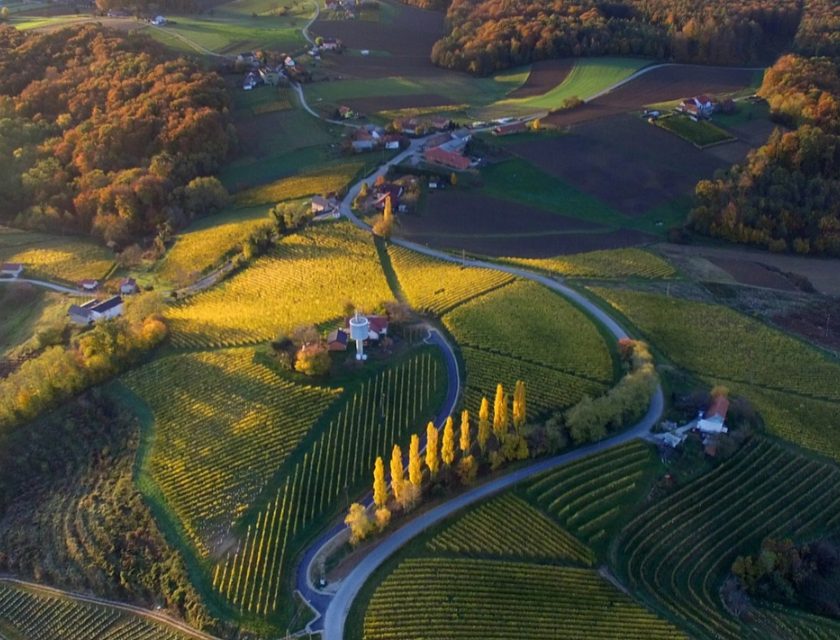 Vino sloveno, la Štajerska cambia più rossi, spumanti e Riesling italico