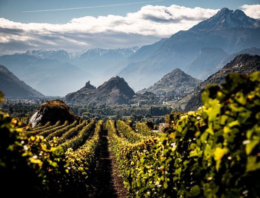 Vino svizzero, Confederazione respinge proposta sostegno produttori locali