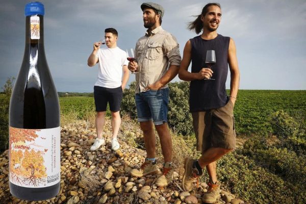 Domaine Mayard Côtes du Rhône un rosso francese da bere d'un fiato