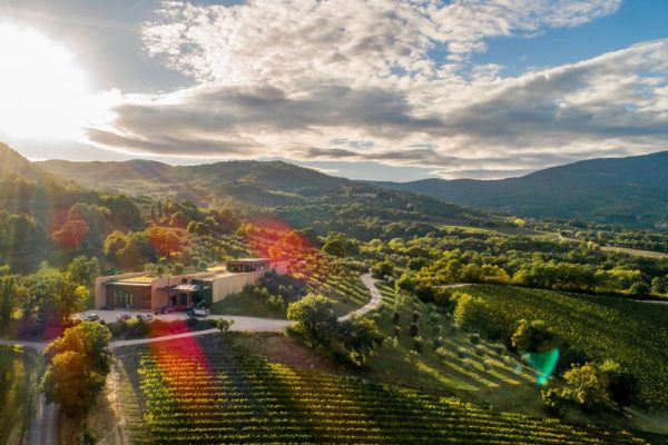 Fonti di Vino 2026 a San Casciano dei Bagni la prima edizione tra cantine, terme e territorio