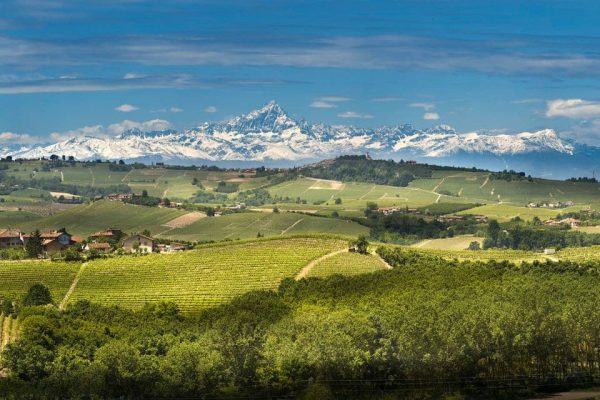 Mosaico Langhe Doc, migliori assaggi dal Nebbiolo al Sauvignon