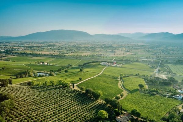 Angelini acquisisce Arnaldo Caprai e investe sul Sagrantino di Montefalco