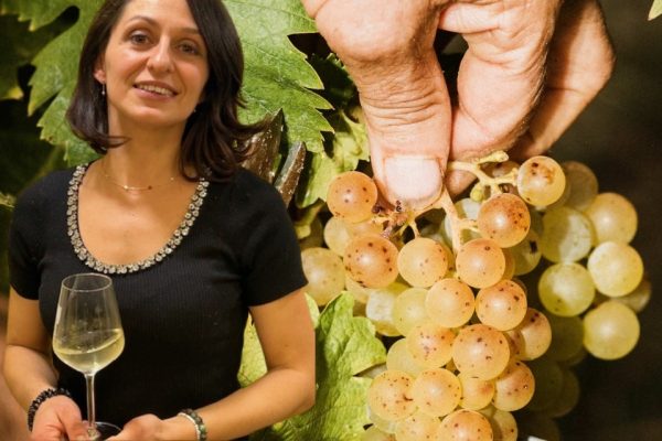 Resa del Moscato vendemmia 2026 Coldiretti si oppone ai tagli