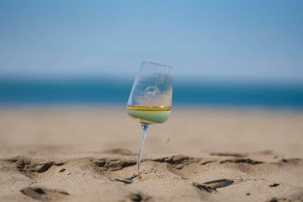 Vermentino DOC Maremma Toscana, 12 medaglie al Concorso Internazionale terza denominazione più premiata al mondo