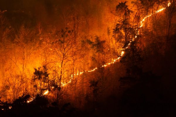 Incendi Gironda, Union des Grands Crus de Bordeaux «Vigneti indenni, nessun impatto sulle uve» comunicato François-Xavier Maroteaux, Grégory Citerneschi President of the UG