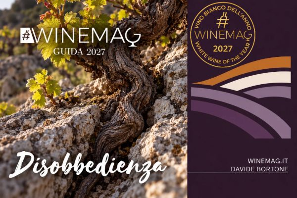 Sudtirol Alto Adige Doc Sauvignon Riserva 2023 Vigna Oberkerschbaum, Hofstatter miglior vino bianco 2027 guida winemag