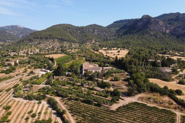 Migliori vini di Maiorca punteggi IGP Mallorca - Vi de La Terra (Mallorca, Baleari)