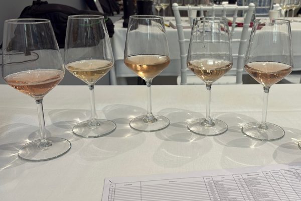 21 spumanti siciliani prova di maturità a Sicilia en Primeur 2026. Cresce il movimento delle bollicine siciliane i migliori assaggi