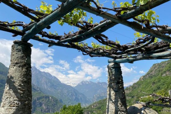 Festa dell’Uva e del Vino di Carema 2026 dal 21 al 27 settembre la 74ª edizione