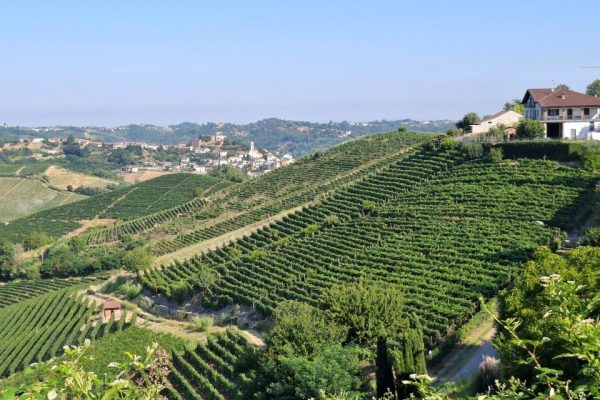 Vinchio Vaglio, il “nido della Barbera” identità, equilibrio e capacità di evolvere