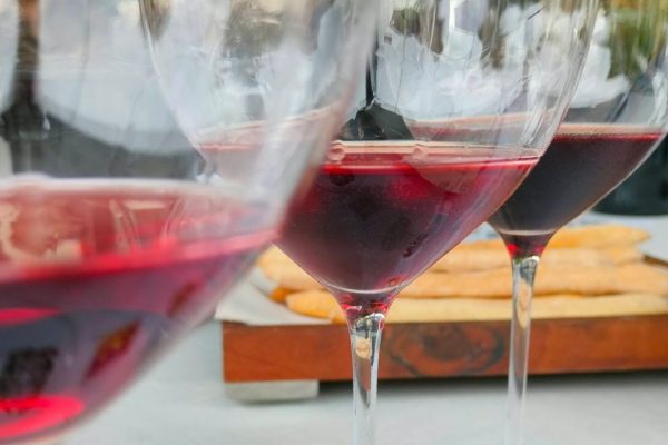 100 anni del Consorzio Bardolino, il vino pop del Lago di Garda