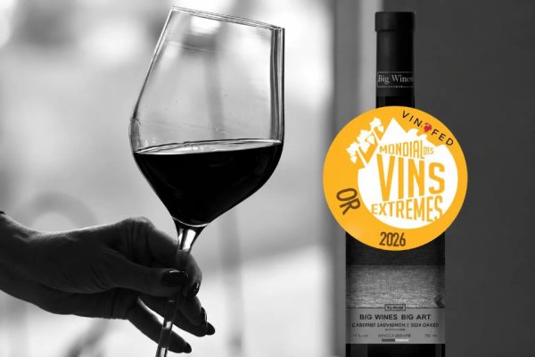 Caso Cervim oro a vino senza requisiti al Mondial des Vins Extrêmes vino ucraino Cabernet Sauvignon Oaked 2024 cantina Big Wines Big Art oiv vinofed
