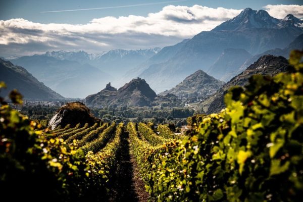 Vino svizzero, Confederazione respinge proposta sostegno produttori locali